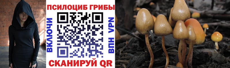 Галлюциногенные грибы GOLDEN TEACHER  Купить закладки  Людиново 